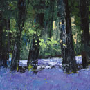 Blanket of Blue