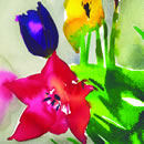 A series of floral subjects using watercolour inks to intensify nature's colours. The paintings have also been adapted as greetings cards.