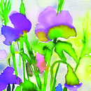 A series of floral subjects using watercolour inks to intensify nature's colours. The paintings have also been adapted as greetings cards.